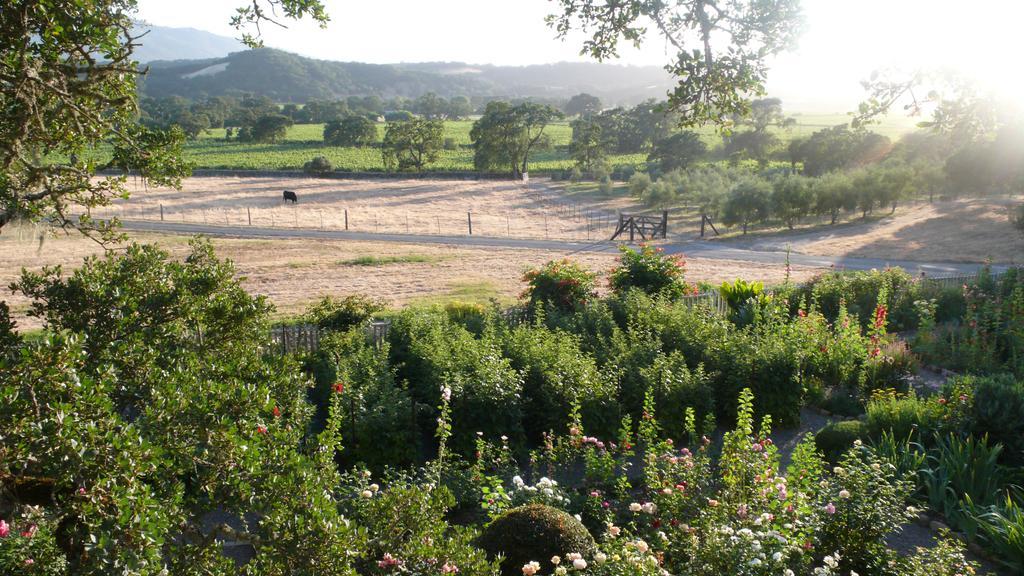 Beltane Ranch Bed & Breakfast Glen Ellen Exterior photo